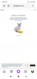Screenshot_2022-11-12-23-52-51-115_ru.yandex.searchplugin.jpg